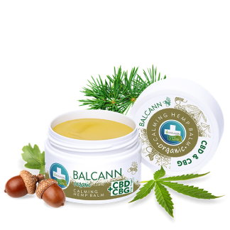 ANNABIS BALCANN ORGANISCHE HANFSALBE MIT CBD & CBG +eichenrinden