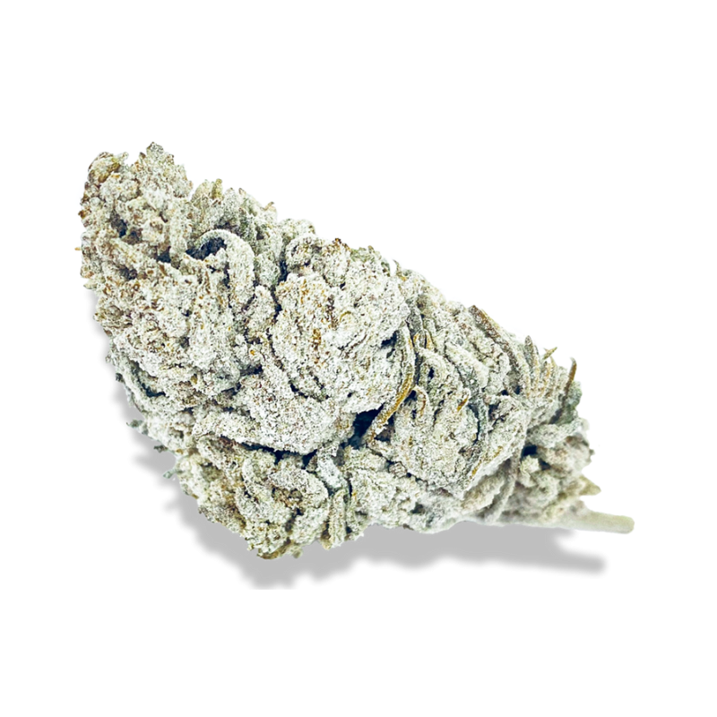 Snow Haze